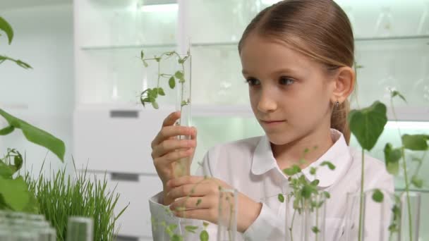 Criança no Laboratório de Química, Criança Escolar na Ciência Plantas de Mudas em Crescimento, Estudante Menina Estudando Biologia Classe — Vídeo de Stock