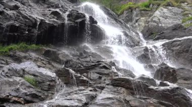 4k River Falls Brook Dağlarda, Yaz güneşli bir gün Ormanda, Orman manzaralı