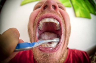 Diş fırçalama. Dişlerle ilgili sağlık bilgisi