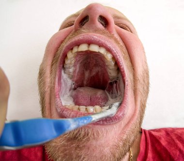 Diş fırçalama. Dişlerle ilgili sağlık bilgisi