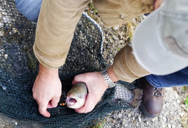 Fish in net — Stock Photo, Image