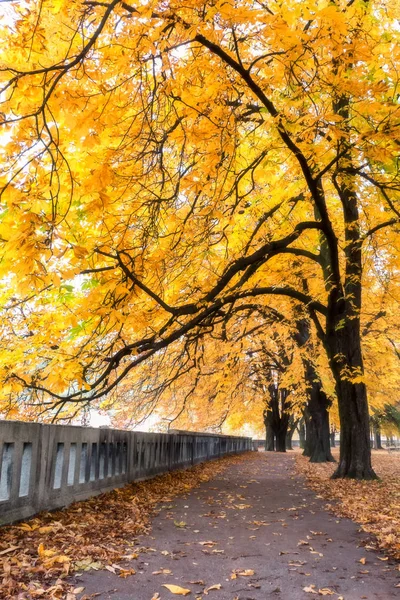 Barevné podzimní park — Stock fotografie