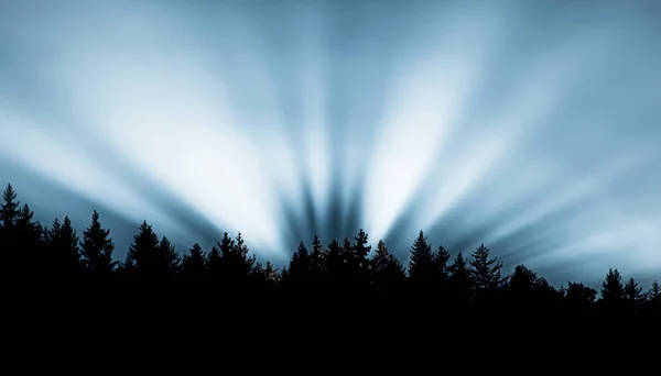 Солнечные лучи на голубом небе и в лесу — стоковое фото
