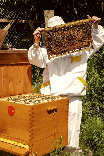 Apiário - apicultor com abelhas — Fotografia de Stock