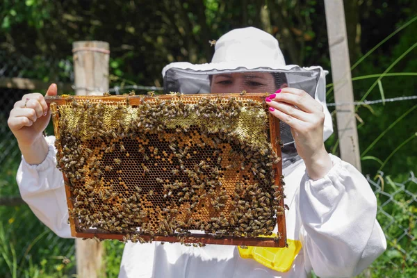Včelař se včelami — Stock fotografie