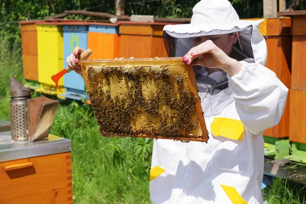 Woman beekeeper in white suit — Stock Photo, Image