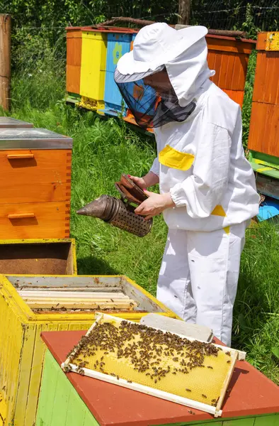 Beyaz elbiseli kadın arıcı