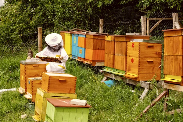 Imker en bijenkorven — Stockfoto