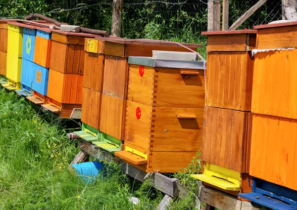 Kleurrijke bee kasten — Stockfoto