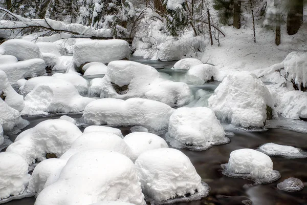 Fontes de água congeladas na floresta nevada . — Fotografia de Stock