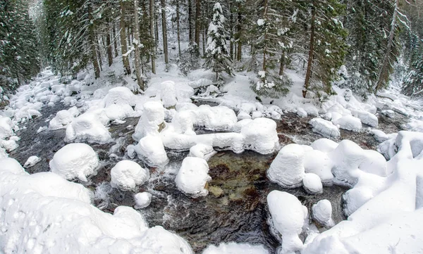 Заморожений струмок в зимовому лісі — стокове фото