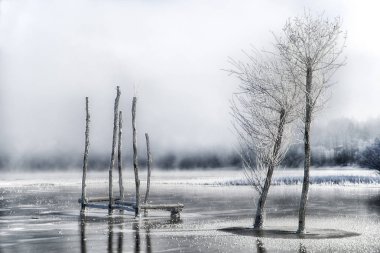 Göl Liptovska Mara donmuş ağaçlarda
