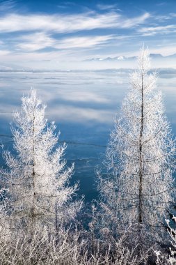 Frost'un üzerinde ağaç ve göl Liptovska Mara covere buz, Slovakya