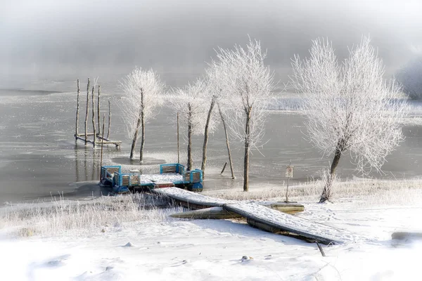 Озеро Липтовская Мара покрыто льдом — стоковое фото