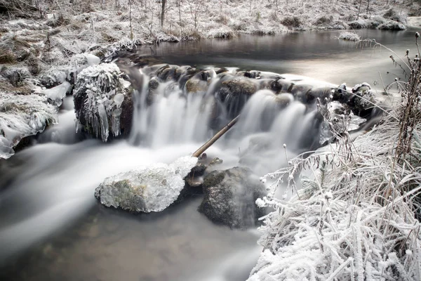 森の中の凍る川 — ストック写真