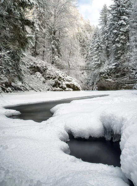 Frusen flod i vinterskogen — Stockfoto
