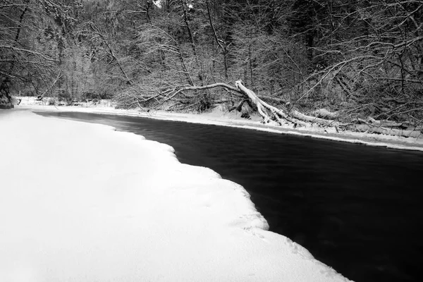 Fiume nella foresta invernale. Bianco e nero — Foto Stock