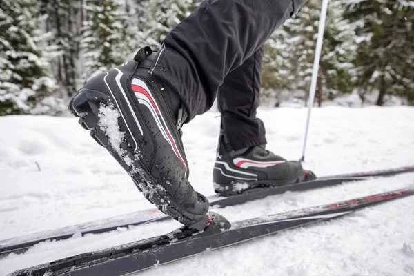 Ski antar negara — Stok Foto