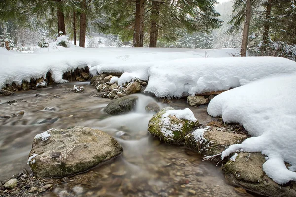 Fluxo de fluxo na floresta de inverno — Fotografia de Stock