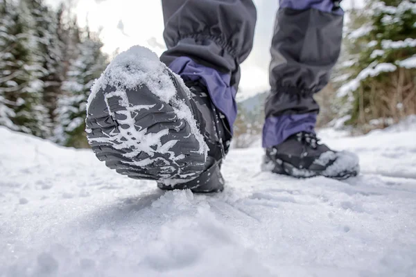 Hiking boots in snowy forest — Stock Photo, Image