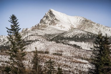 Tepe Krivan yüksek Tatras, Slovakya