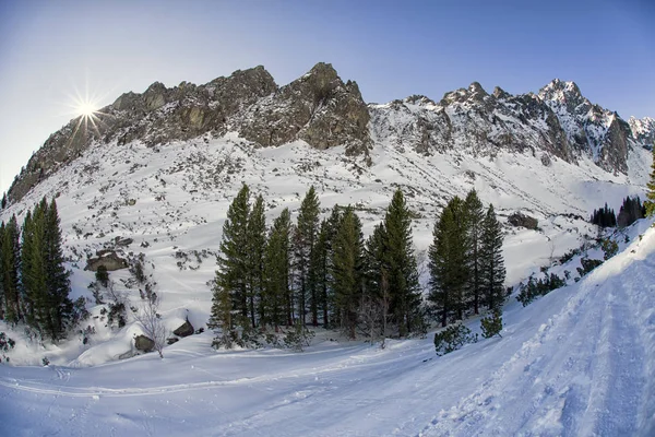 Зима в горах. Высокие Татры — стоковое фото