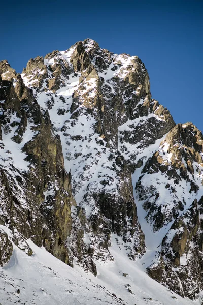 Hög snöig topp — Stockfoto