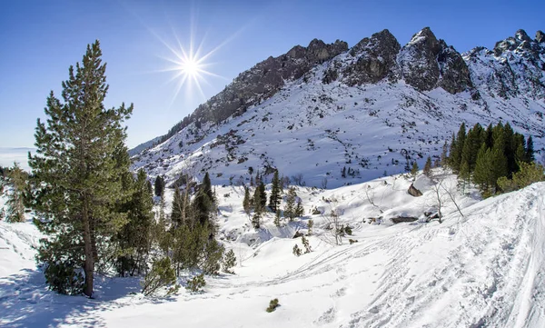 Hiver en montagne. High Tatras, Slovaquie — Photo