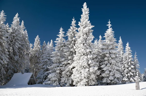 Cottage sob neve na floresta de inverno — Fotografia de Stock