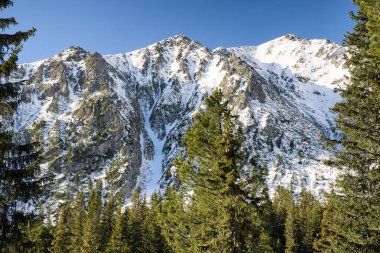 Orman ve hill yüksek Tatras, Slovakya