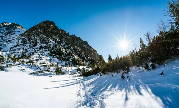 Montagnes d'hiver et soleil brillant — Photo