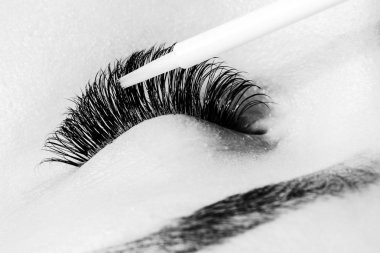 Beautician making artificial lashes. eyelash extension procedure clipart