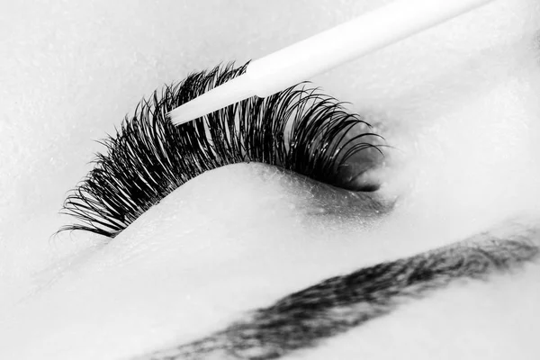 Beautician making artificial lashes. eyelash extension procedure — Stock Photo, Image