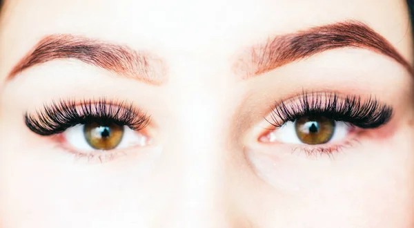 Artificial lashes. Eyelash extension. — Stock Photo, Image