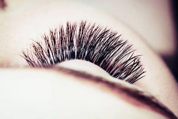 Detail of eyelashes