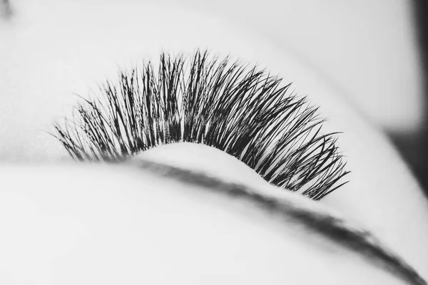 Detail of eyelashes — Stock Photo, Image