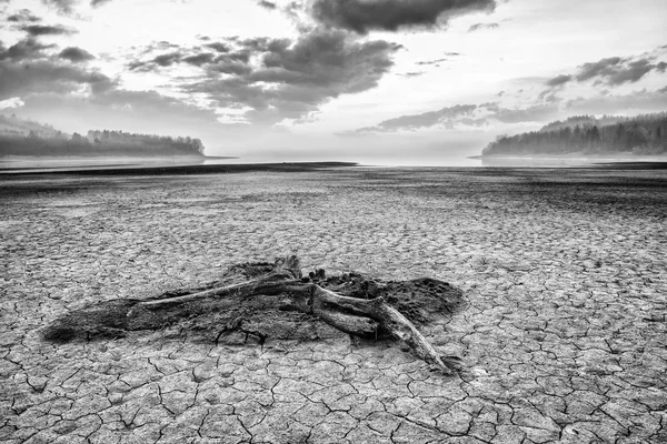 Lago seco y tierra agrietada —  Fotos de Stock
