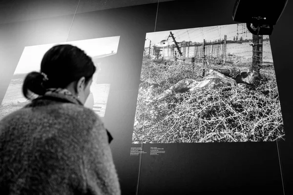 Mujer viendo en la fotografía de Eric Schwab en el museo judío en — Foto de Stock