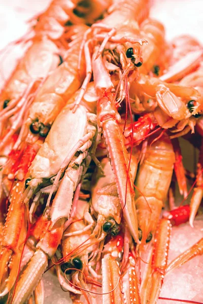 Meeresfrüchte - rote Scampi — Stockfoto