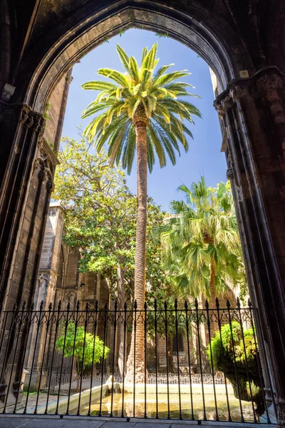 Átrio na catedral de Barcelona, Espanha — Fotografia de Stock