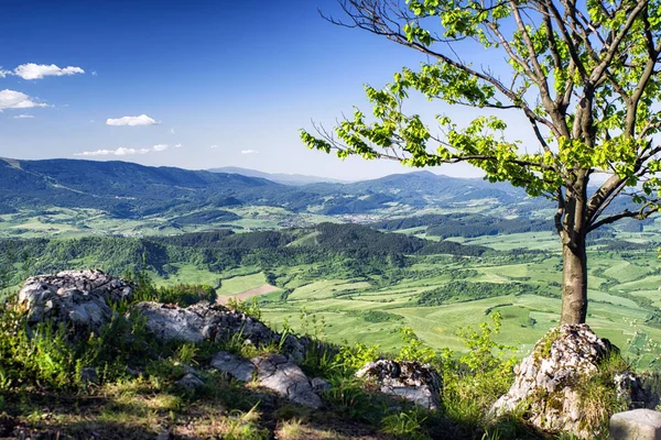 Batiful hills landskap. Mala Fatra berg, Slovakien — Stockfoto