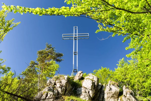 Cross on the forest — Stock Photo, Image
