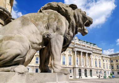 Buda Kalesi, Budapeşte lyon heykeli