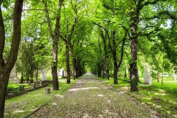 Керепеси - историческое кладбище в Будапеште, Венгрия — стоковое фото