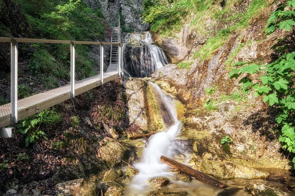 Yaya köprüsü Kanyon Janosikove diery, Slovakya