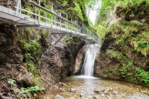 Footbridge and cascade in forest — Stock Photo, Image