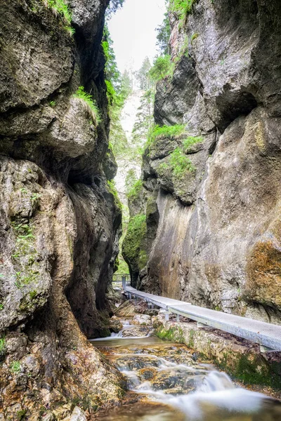 Fußgängerbrücke in der Schlucht Janosikove diery, Slowakei — Stockfoto