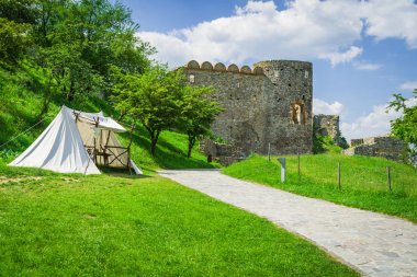 Devin castle, Slovakia clipart