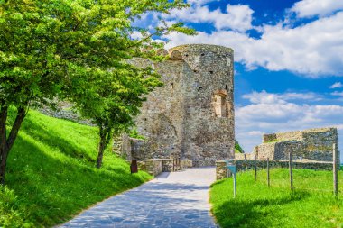 Devin castle, Slovakia clipart