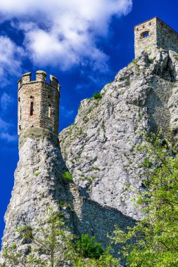 Taret Devin bir şatoda, Slovakya
